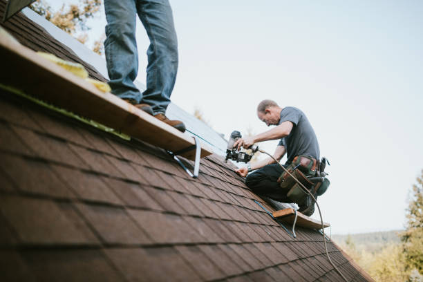 Best Shingle Roofing Installation  in Oneida, TN